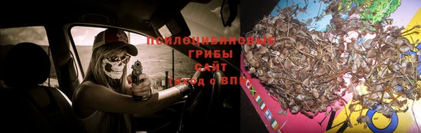ПСИЛОЦИБИНОВЫЕ ГРИБЫ Аркадак
