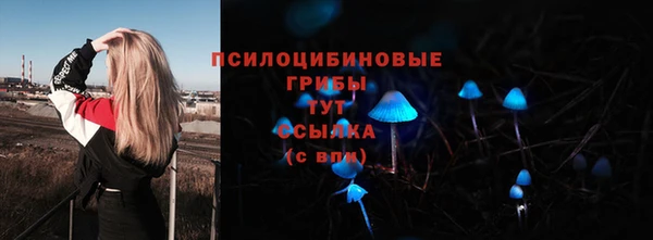 мдпв Армянск