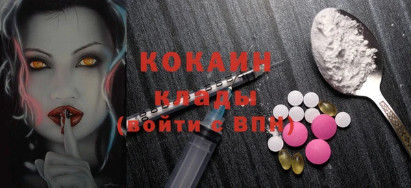 ПСИЛОЦИБИНОВЫЕ ГРИБЫ Аркадак