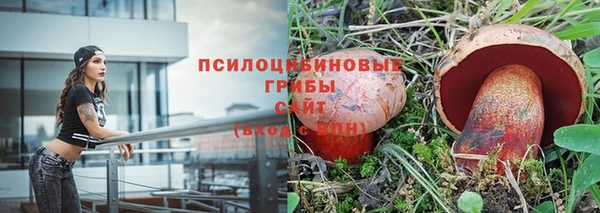 мдпв Армянск