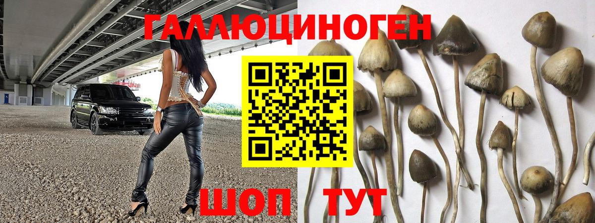 Полевской  Галлюциногенные грибы Psilocybe  Галлюциногенные грибы прущие грибы  Вход с VPN 